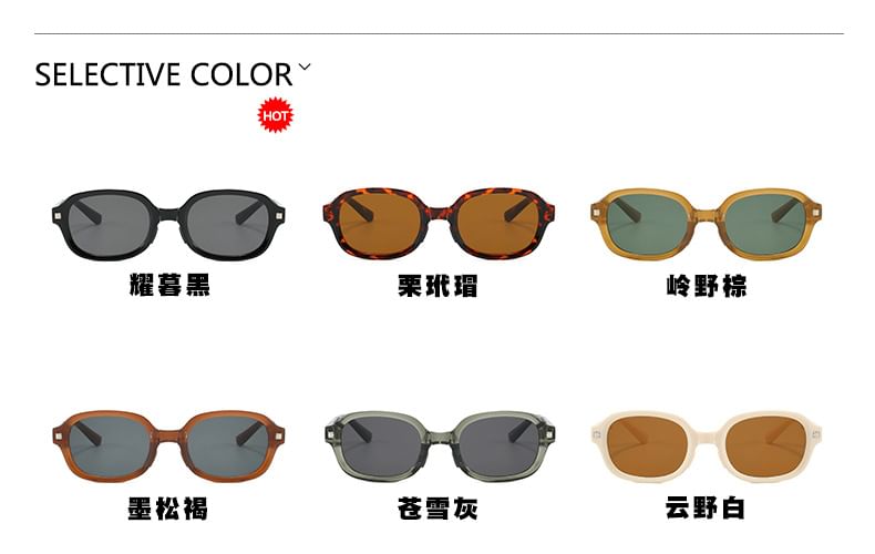 Oval Foldable Sunglasses