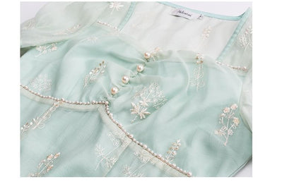 Plus Size Embroidered Mesh Puff Sleeve Square Neck Midi A-Line Dress