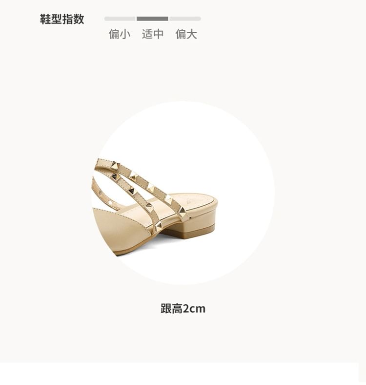 Pointed Toe Mary Jane Mules
