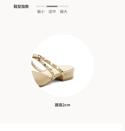 Pointed Toe Mary Jane Mules