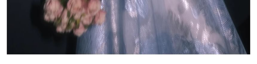 Evening A-Line Beaded Patterned Gown Short-Sleeve