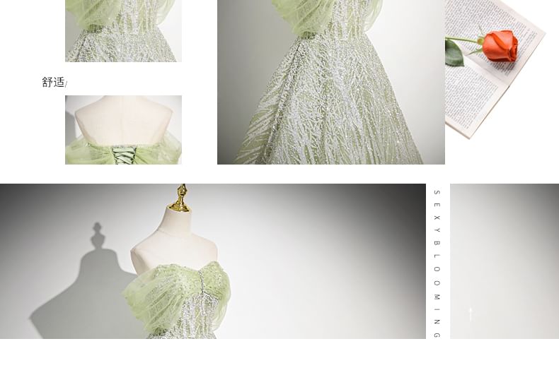 Embroidered Off-Shoulder Evening Gown Floral A-Line