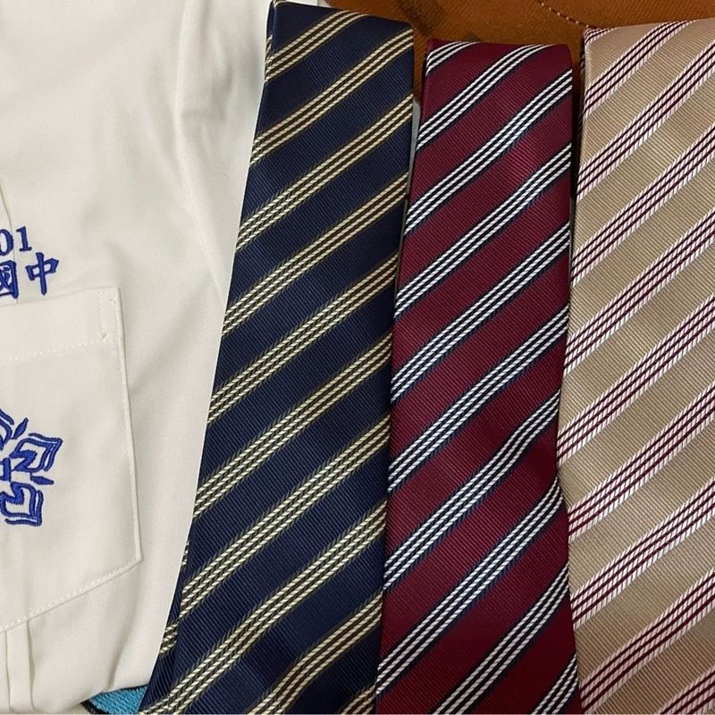 Striped Neck Tie / Pre Tied Neck Tie