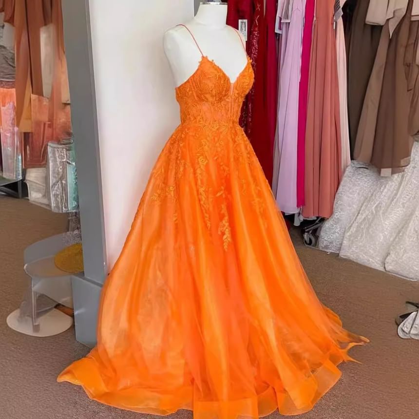 Spaghetti Strap V-Neck Lace Panel Open Back A-Line Evening Gown