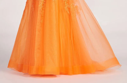 Spaghetti Strap V-Neck Lace Panel Open Back A-Line Evening Gown