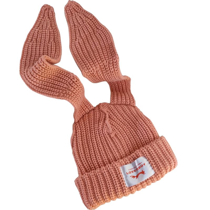 Rabbit Ear Ribbed Beanie