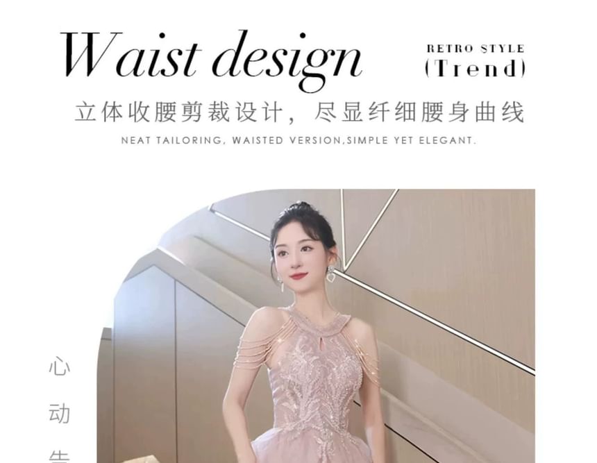 Halter Neck Sleeveless Embroidered Sequined A-Line Evening Gown