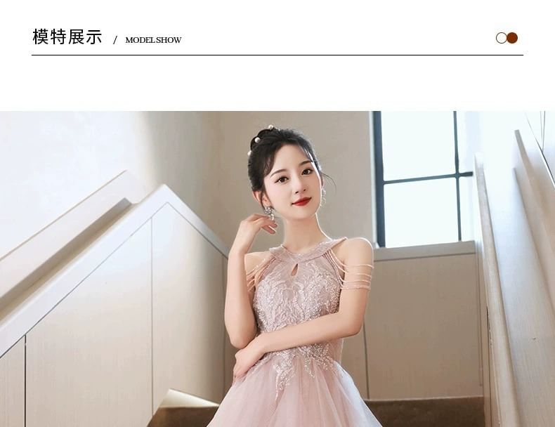 Halter Neck Sleeveless Embroidered Sequined A-Line Evening Gown