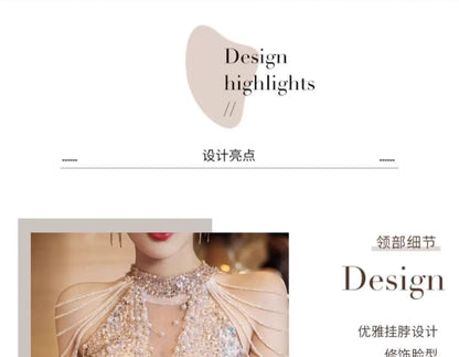 Sleeveless Gown Glitter Sheer Sheath Evening Panel