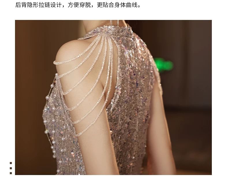 Sleeveless Gown Glitter Sheer Sheath Evening Panel