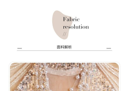 Sleeveless Gown Glitter Sheer Sheath Evening Panel