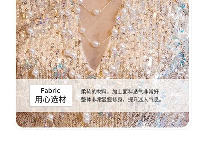 Sleeveless Gown Glitter Sheer Sheath Evening Panel