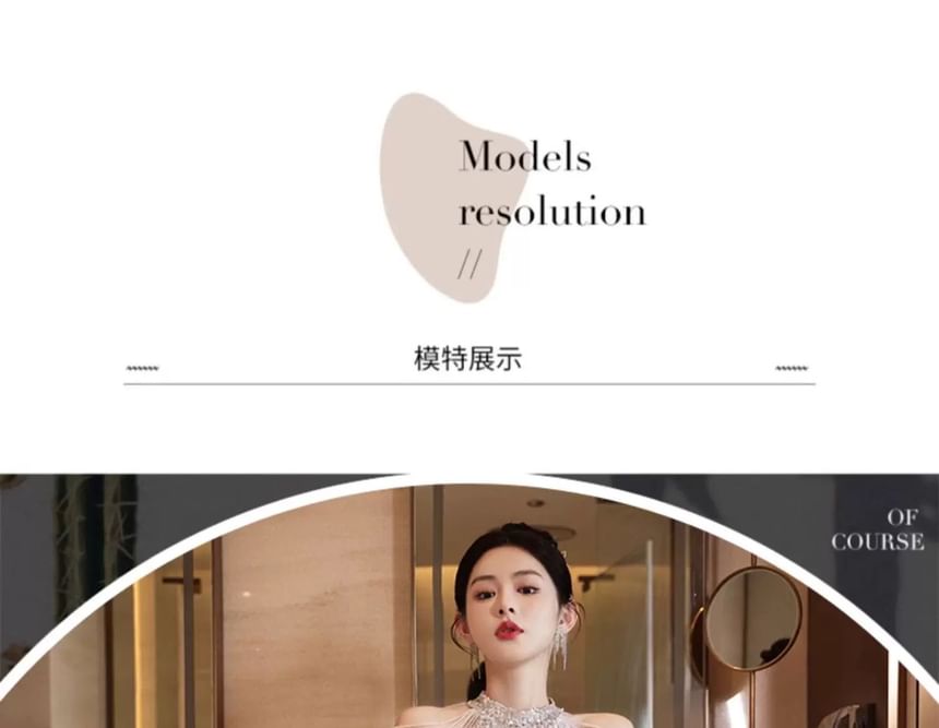 Gown Sheath Sleeveless Sheer Evening Glitter Panel