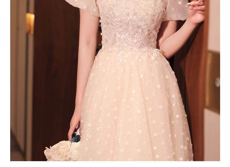 Sequin Mock Neck Short Sleeve A-Line Evening Gown