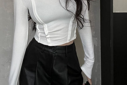 Long Sleeve Turtleneck Plain Crop Top