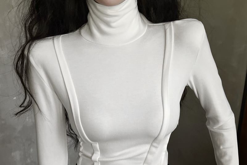 Long Sleeve Turtleneck Plain Crop Top