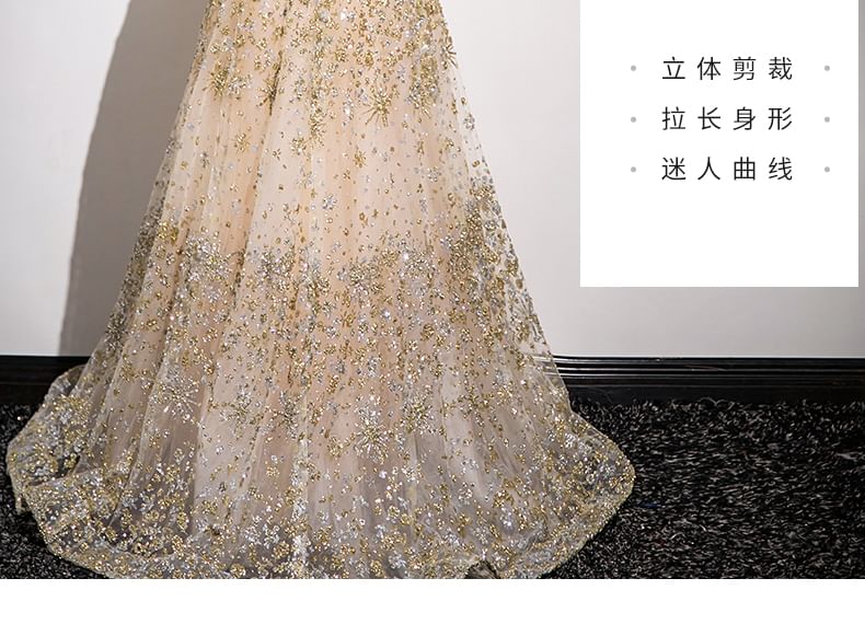 Sleeveless Mandarin Collar Sequin Patterned Mesh A-Line Evening Gown