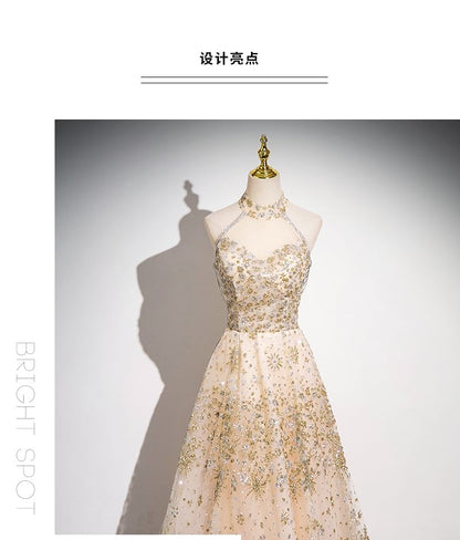 Sleeveless Mandarin Collar Sequin Patterned Mesh A-Line Evening Gown