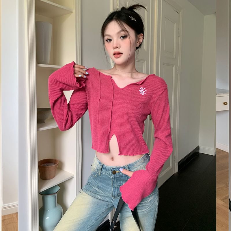 Long-Sleeve V-Neck Embroidered Crop Knit Top