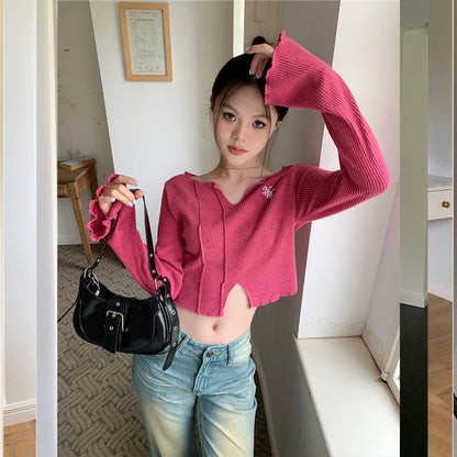 Long-Sleeve V-Neck Embroidered Crop Knit Top