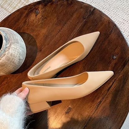 Chunky Heel Pointed Toe Plain Faux Leather Pumps