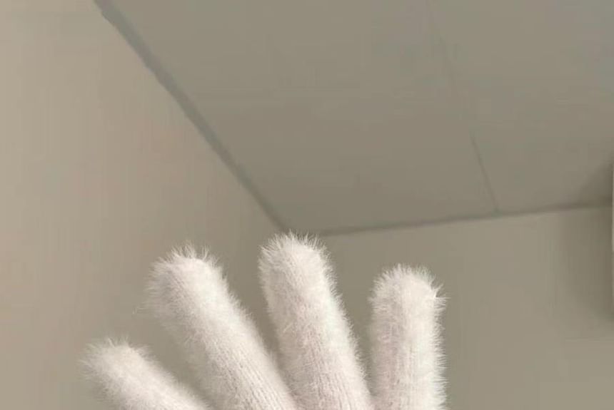 Cartoon Fluffy Gloves