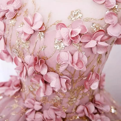 Sleeveless Round Neck Floral Applique Panel Mesh A-Line Evening Gown