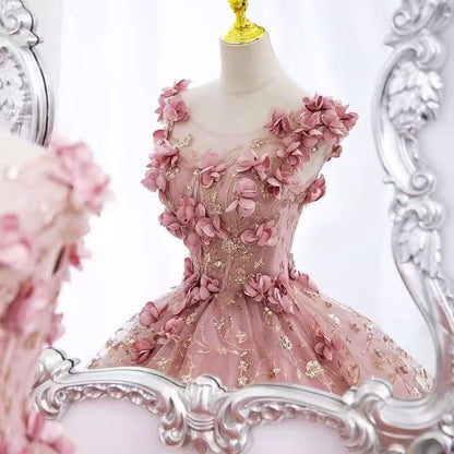 Sleeveless Round Neck Floral Applique Panel Mesh A-Line Evening Gown