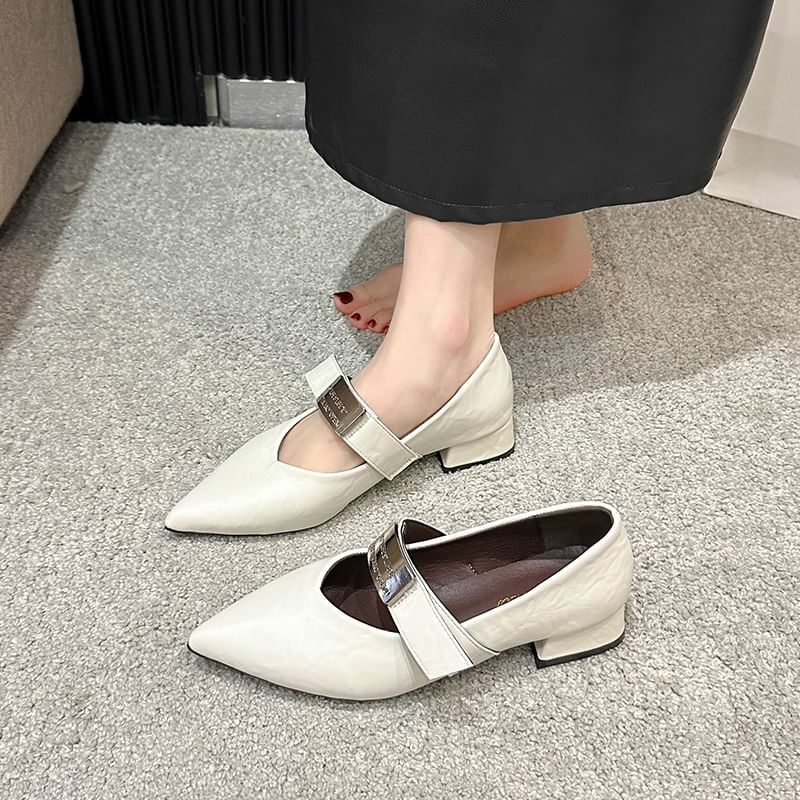 Pointy Buckled Chunky Heel Mary Jane Shoes