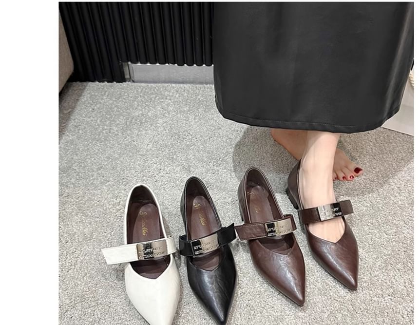 Pointy Buckled Chunky Heel Mary Jane Shoes