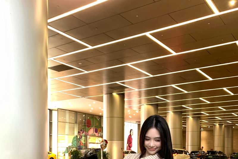 Long-Sleeve Collared Striped Button Up Shirt / High Waist Leopard Print Mini Pencil Skirt