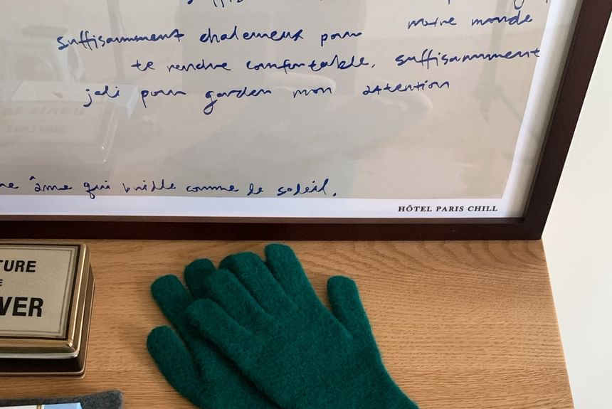 Applique Contrast Trim Knit Gloves
