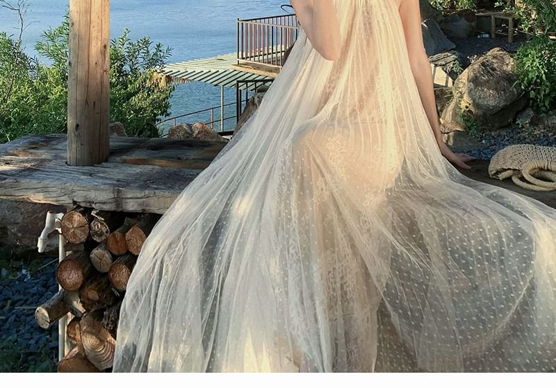 Sleeveless Mesh Full-Length A-Line Gown