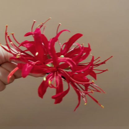 Flower Hair Clip