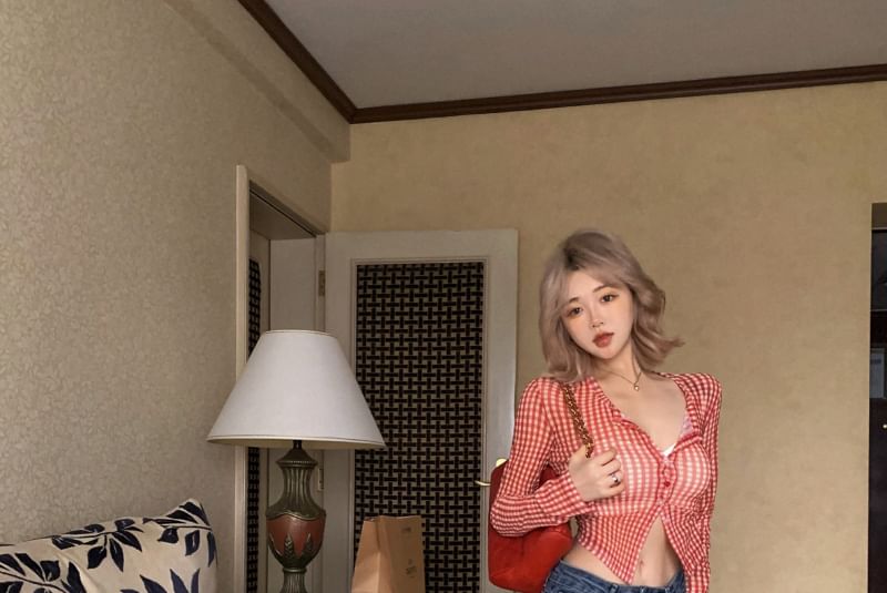 Long-Sleeve Gingham Button-Up Crop Mesh Top