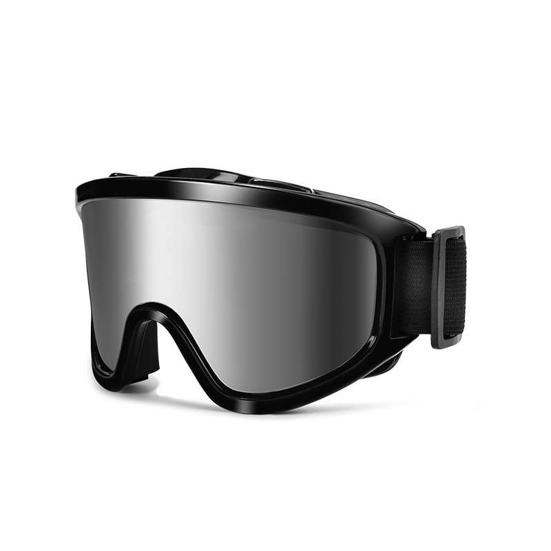 Ski Goggles