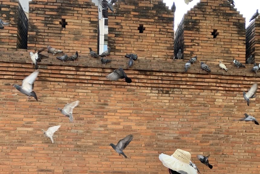 Sleeveless Halter Neck Wave Striped Maxi A-Line Dress