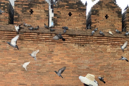 Sleeveless Halter Neck Wave Striped Maxi A-Line Dress