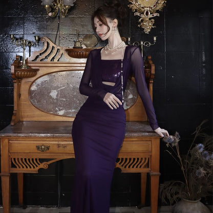 Long Sleeve Cowl Neck Plain Sequined Panel Bodycon Maxi Dress