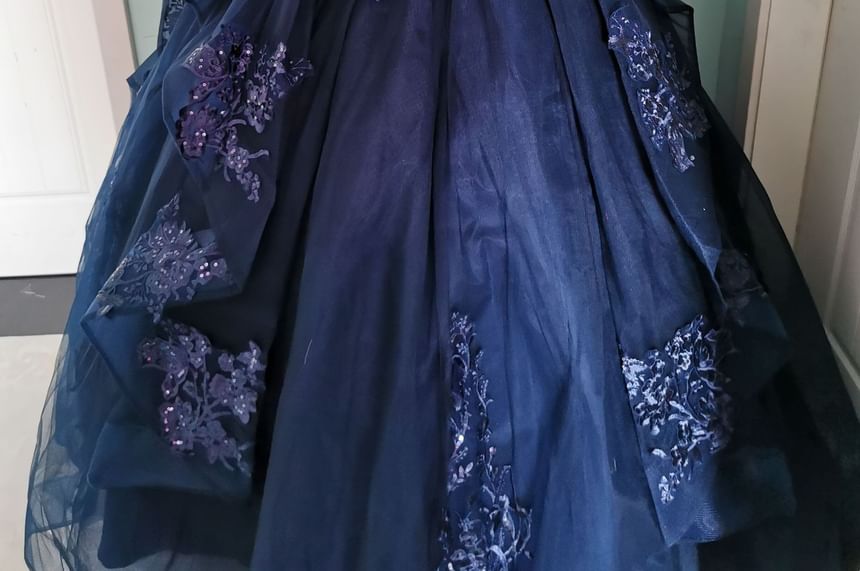 Long-Sleeve V-Neck Glitter Embroidered A-Line Evening Gown