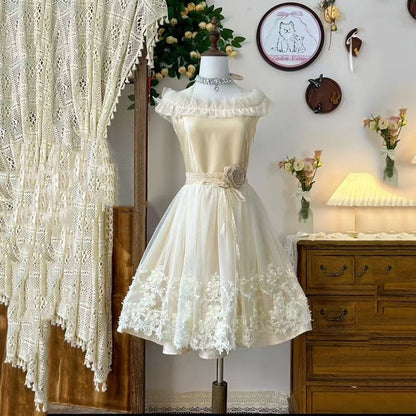 Off Shoulder Plain Lace Embroidered A-Line Party Dress