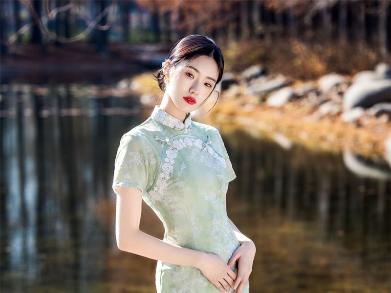 Short Sleeve Lace Panel Jacquard Midi Sheath Qipao