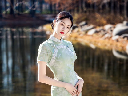 Short Sleeve Lace Panel Jacquard Midi Sheath Qipao