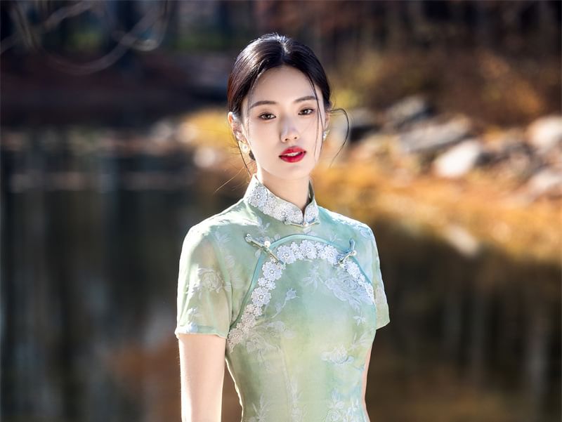 Short Sleeve Lace Panel Jacquard Midi Sheath Qipao