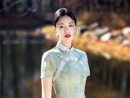 Short Sleeve Lace Panel Jacquard Midi Sheath Qipao