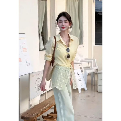 Long Sleeve Collared Plain Lace Trim Panel  Shirt