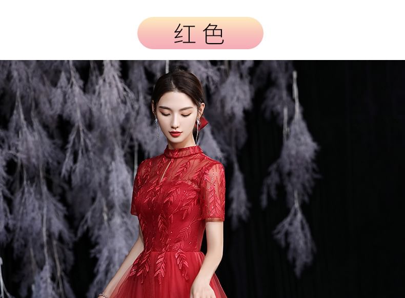 Short-Sleeve Mock Neck Sequin Mesh Overlay Maxi A-Line Evening Dress