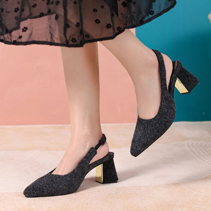 Pointed Toe Block Heel Slingback Pumps
