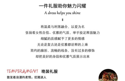 Collar Stand Lace Bow Plain Gown Panel A-Line Sleeveless Evening