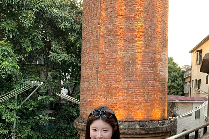 Plain Halter Top / Puff-Sleeve Bow Open Back Peplum Blouse